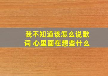 我不知道该怎么说歌词 心里面在想些什么